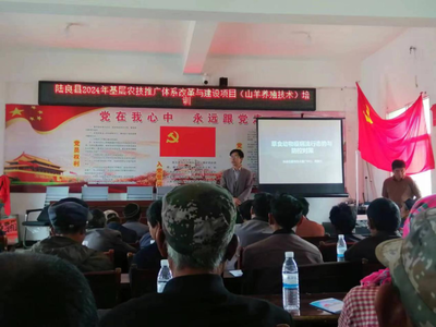 激發(fā)基層活力 陸良縣2024年農(nóng)技推廣體系改革與建設(shè)項(xiàng)目培訓(xùn)在龍海鄉(xiāng)拉開帷幕